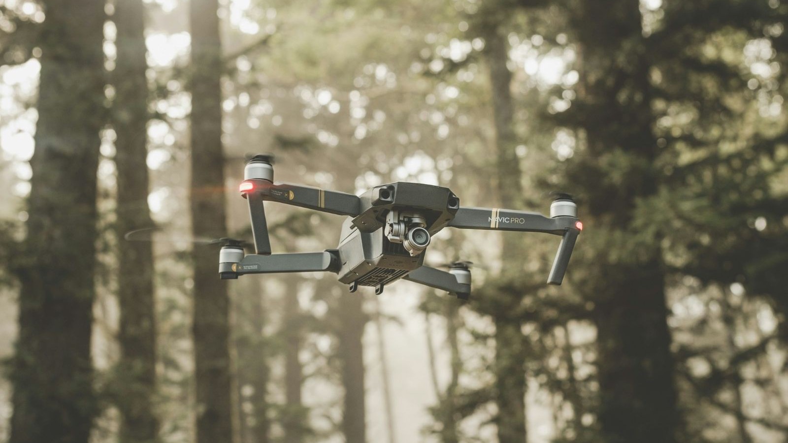 services-01 forest drone crop