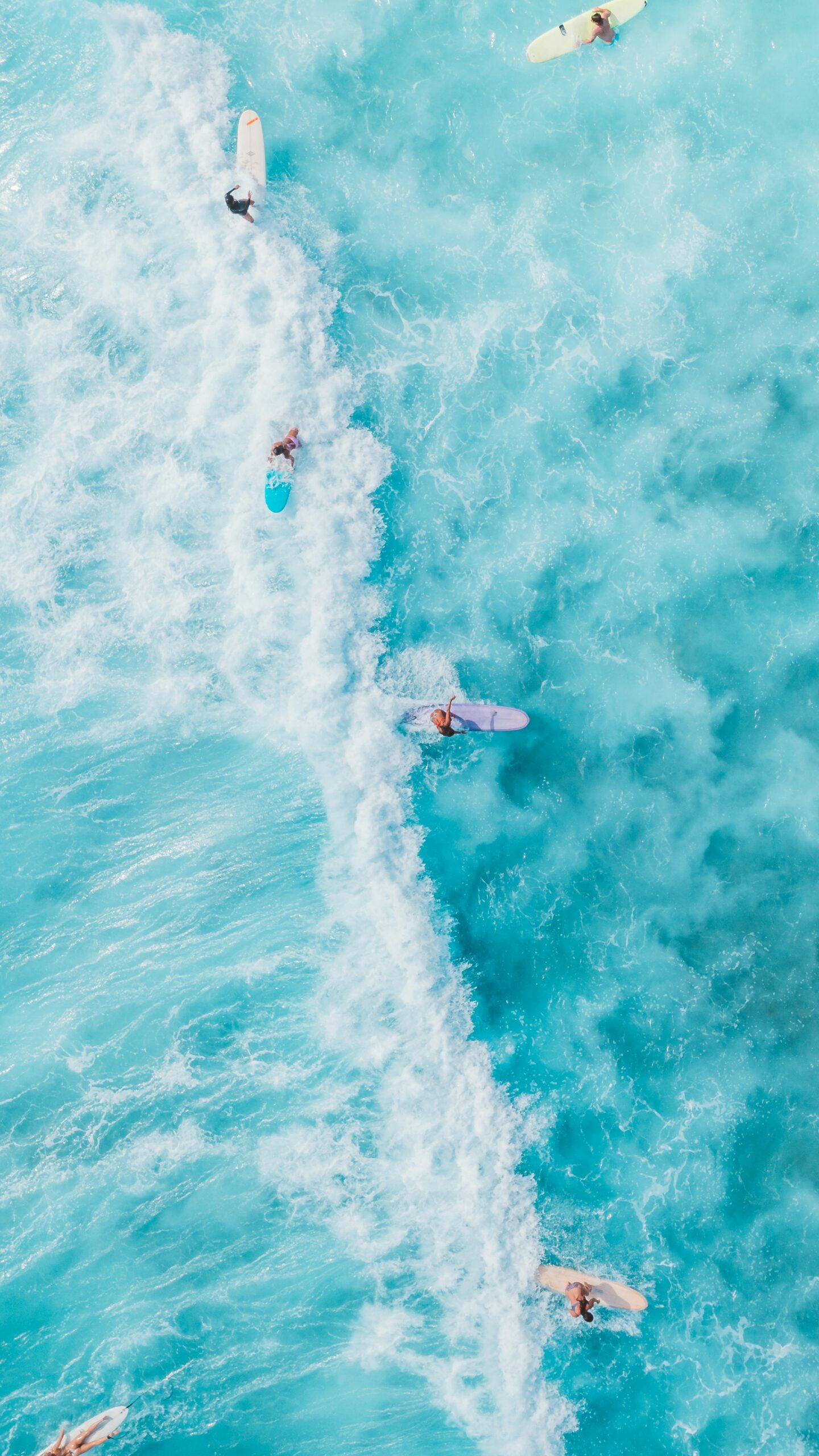 surf